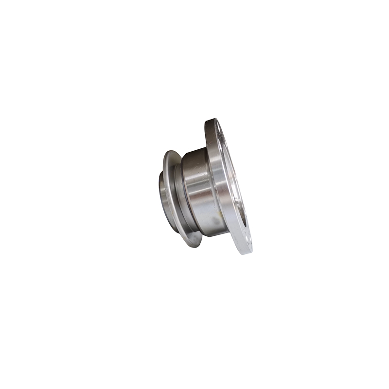 Companion flange